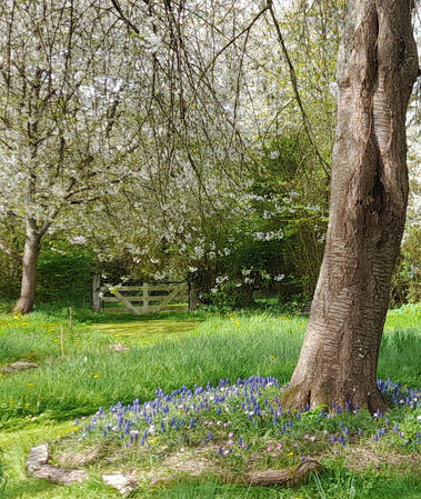 Le jardin du puit