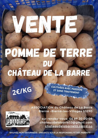 Vente de pommes de terre cultivées avec passion et sans traitement